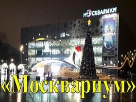 Самый большой океанариум в Москве на ВДНХ | «Москвариум»