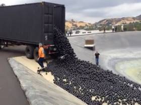 Новый метод очищения водохранилищ с помощью черных шаров