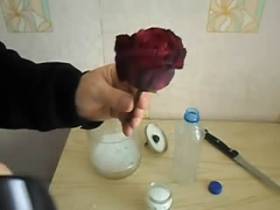 Как высушить цветок, чтобы он не потерял цвет и объем